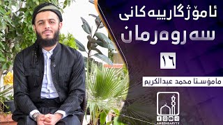 -sjb2dJ6KJ8