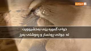 AO8aEkPEIjU