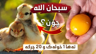 j_i9lSURKaY