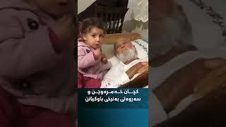 lqvKNoAml8g